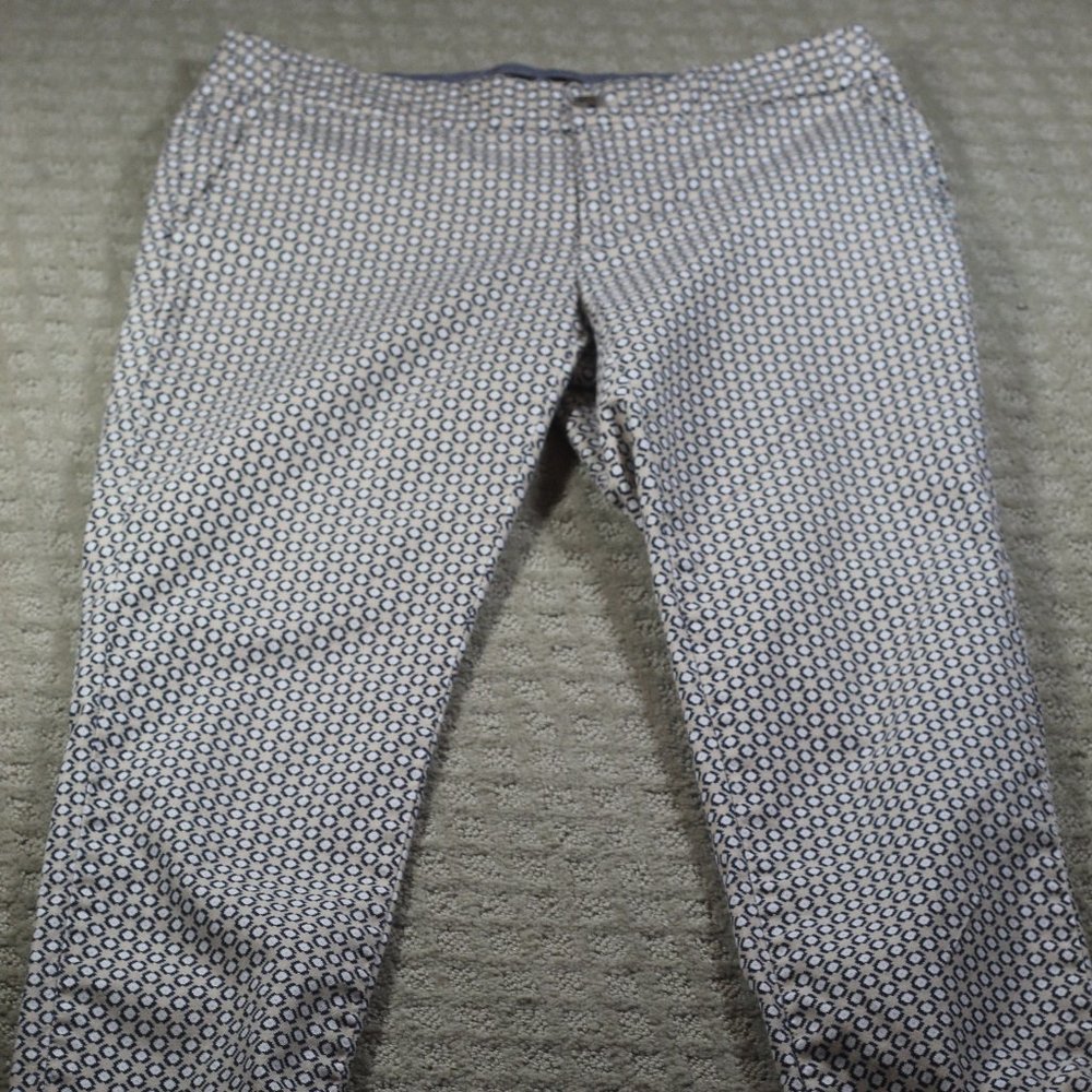 Banana Republic Size 4 Hampton Fit Beige and Navy Blue Pattern Print Pants